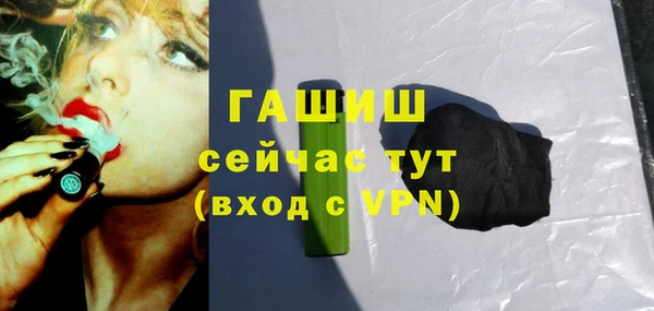 гашик Алексеевка
