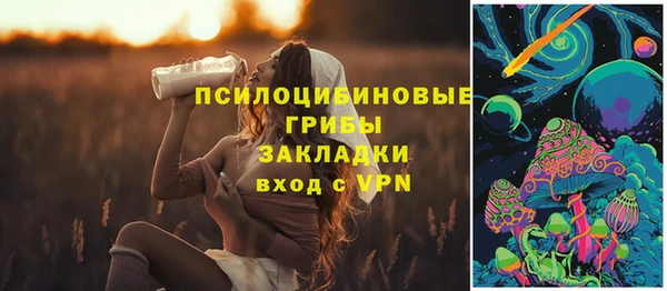 прущие крисы Абаза