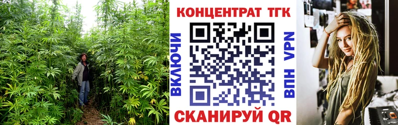 сколько стоит  Черепаново  Дистиллят ТГК THC oil 